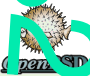 IS MY